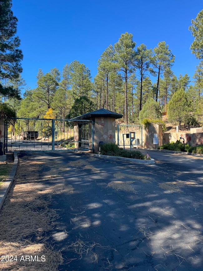 1450 Tia Cir unit 78, Show Low, AZ 85901 - photo 5