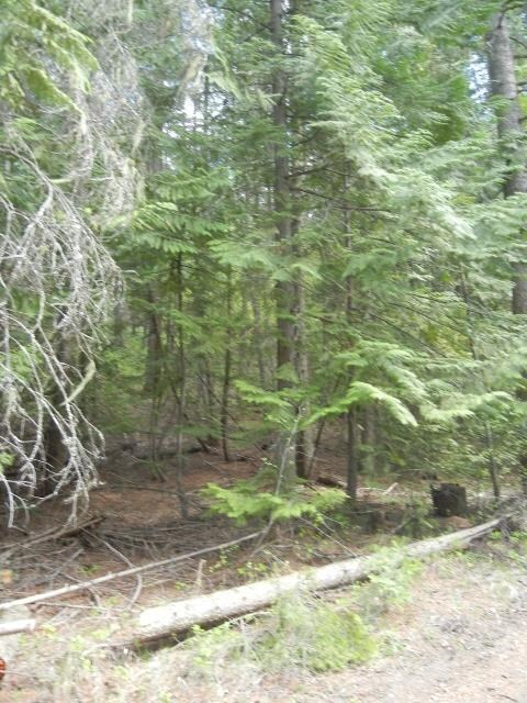 1895 Blue Creek Rd W, Chewelah, WA 99109 - photo 4