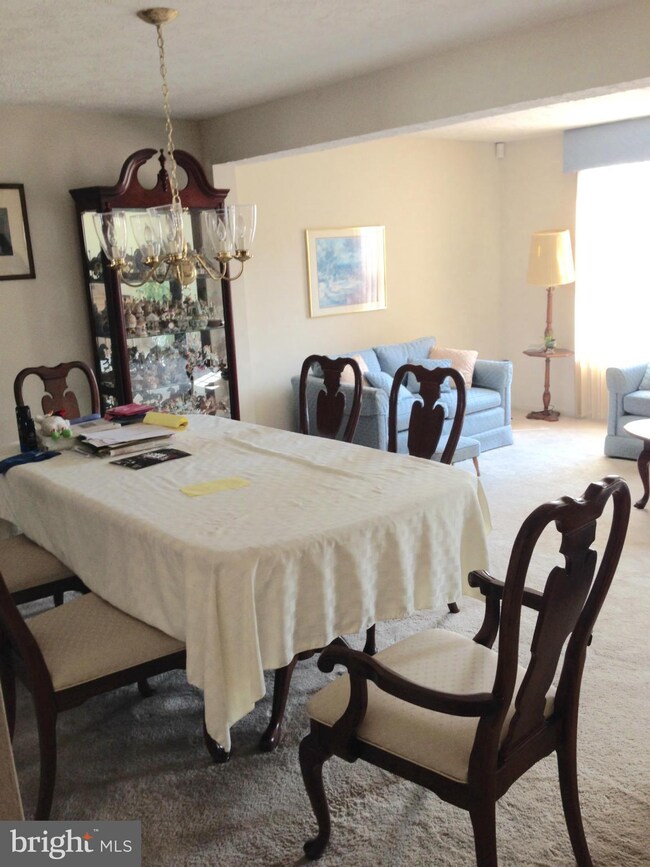 9 Spirit Ln, Owings Mills, MD 21117 - photo 4