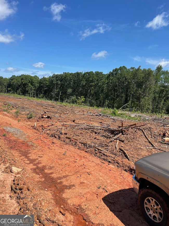 0 Allen Rd unit 10628619, Butler, GA 31006 - photo 2