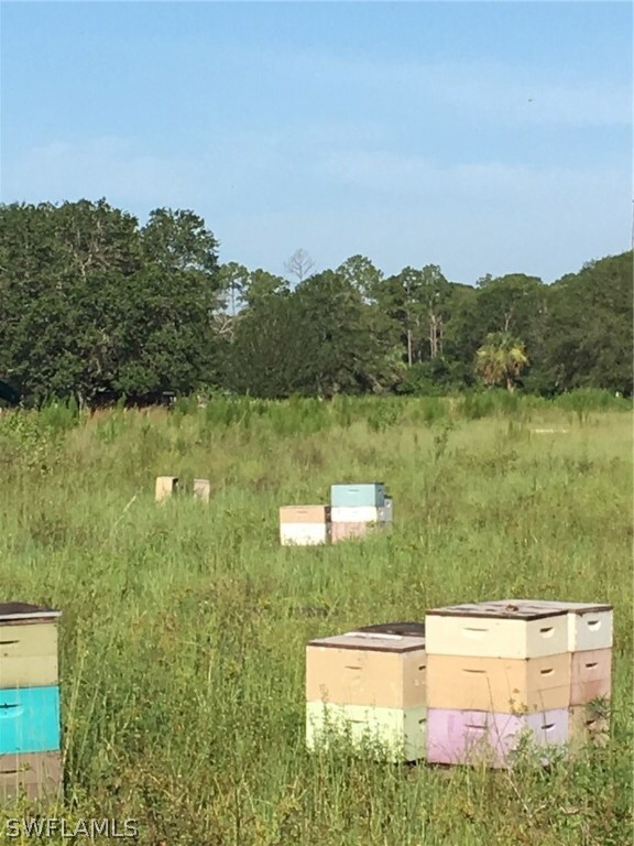 3320 Packinghouse Rd, Alva, FL 33920 - photo 6