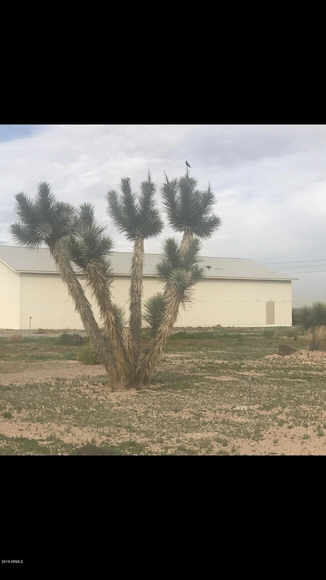 Second Warehouse-Onsite