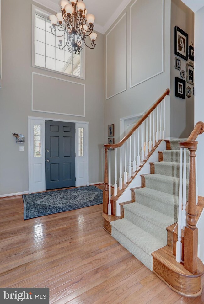 25945 Quinlan St, Chantilly, VA 20152 - photo 5