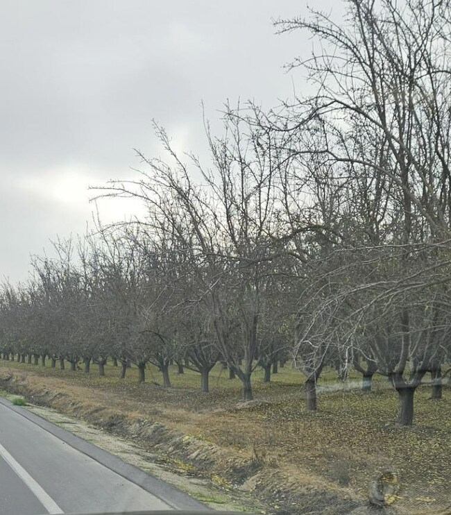 0 Whitesbridge Rd unit 622837, Kerman, CA 93630 - photo 3