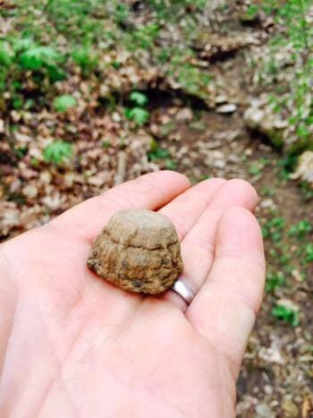 1580 Long Hollow Rd, Somerset, KY 42501 - photo 4