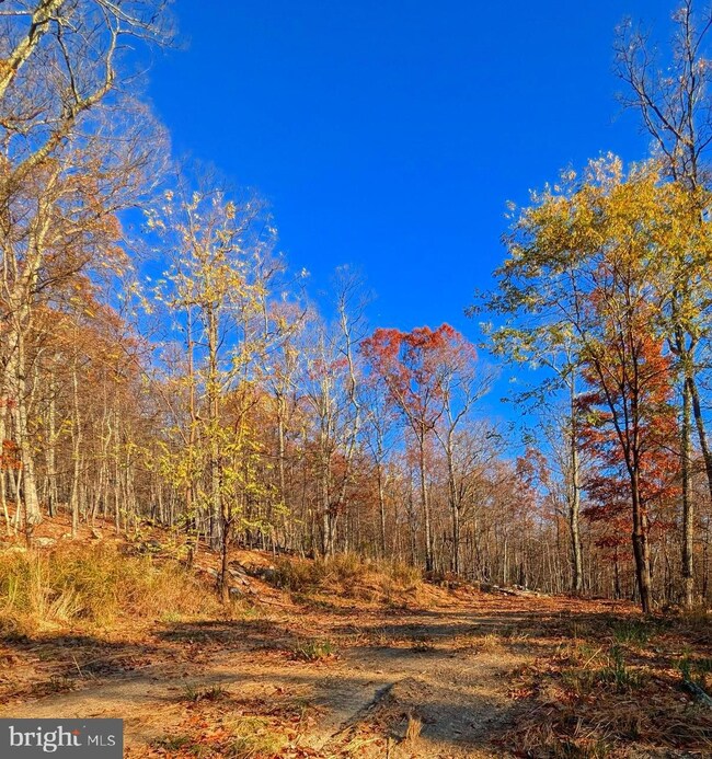 0 Parkside Dr unit WVMO2005316, Berkeley Springs, WV 25411 - photo 4