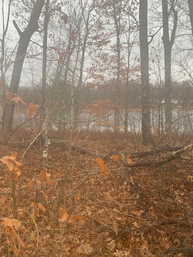 4 Lots Tbd Ave, Idlewild, MI 49642 - photo 6