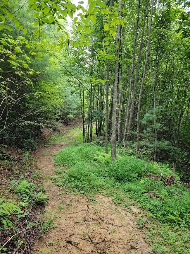 TBD Spring Valley Rd, Elk Creek, VA 24326 - photo 7