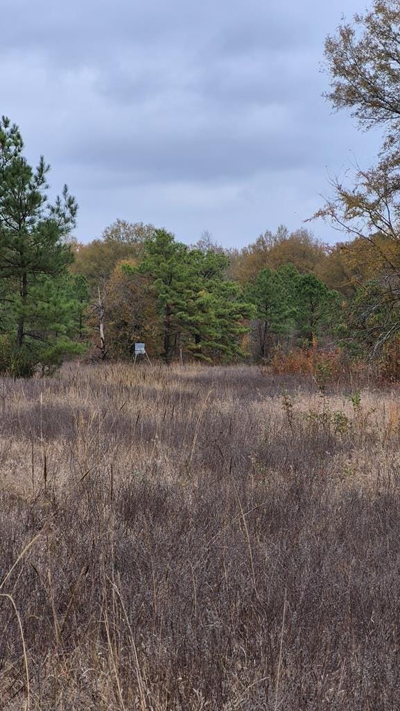 1020 Cr 2215, Detroit, TX 75436 - photo 6