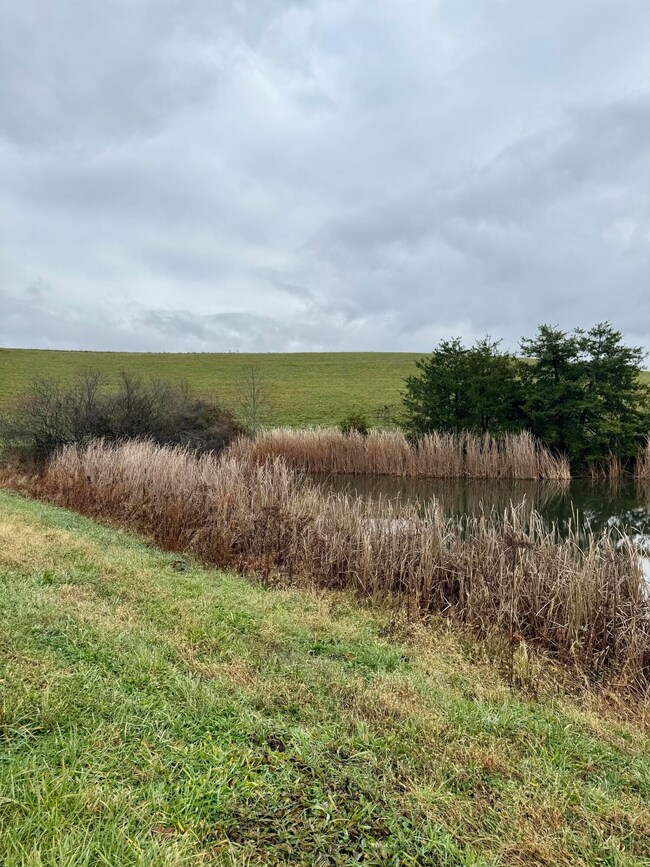 22 Cr-1636, Morehead, KY 40351 - photo 6