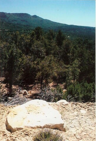 20150203164410977633000000-t