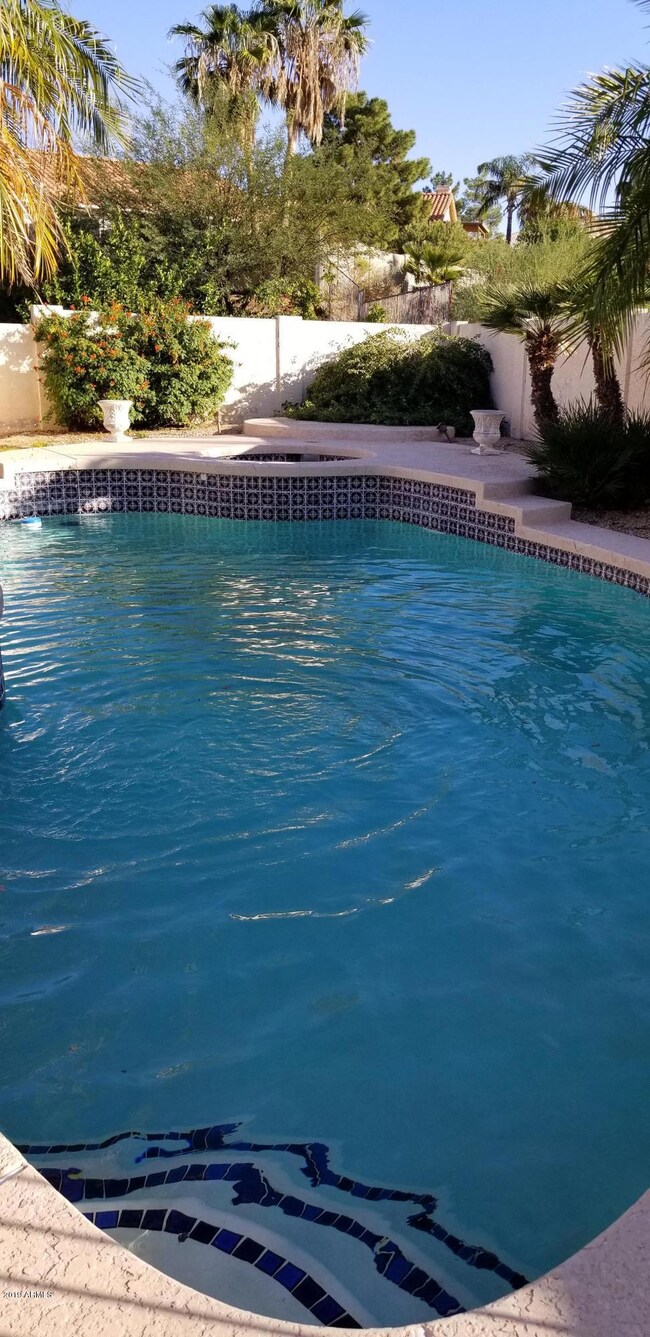 SWIMMING POOL & SPA