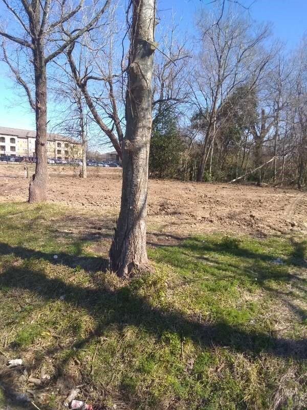 6414 Tuscon St, Houston, TX 77026 - photo 2