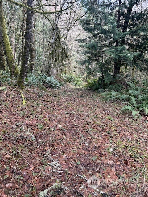 0 Harmon Rd unit NWM2211135, Adna, WA 98522 - photo 3