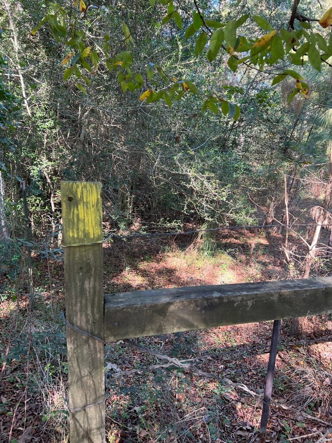 0 Sugar Bend Dr, Magnolia, TX 77355 - photo 6