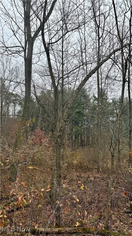 0 Surrey Dr SE, Minerva, OH 44657 - photo 4