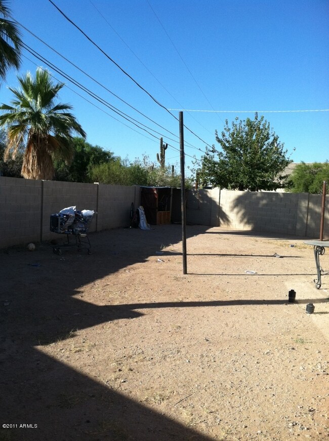 back yard