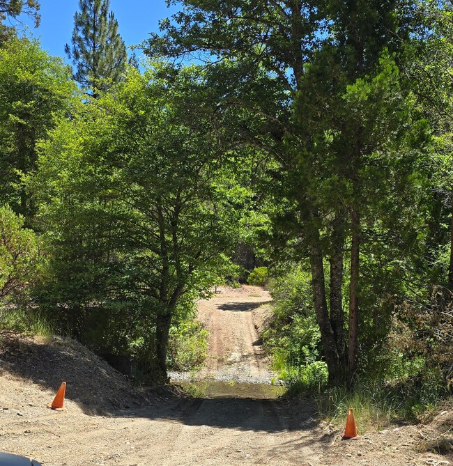 20310 California 36, Hayfork, CA 96041 - photo 4