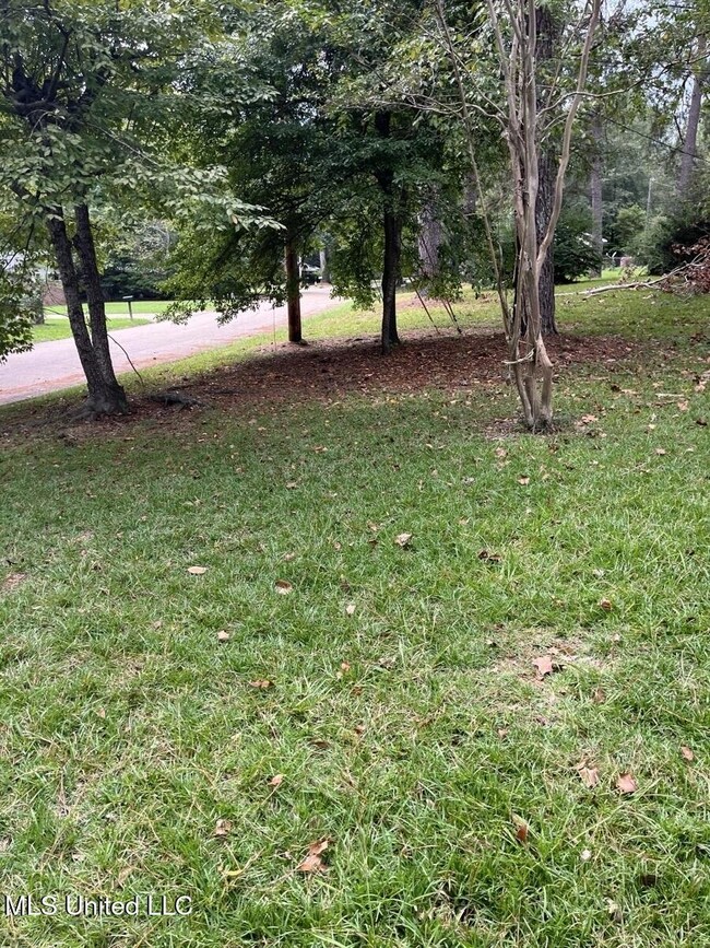 3253 Ridgeland Dr - side yard