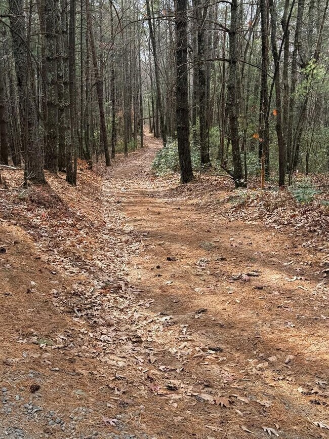 TBD Caution Tape Rd, Cana, VA 24317 - photo 5