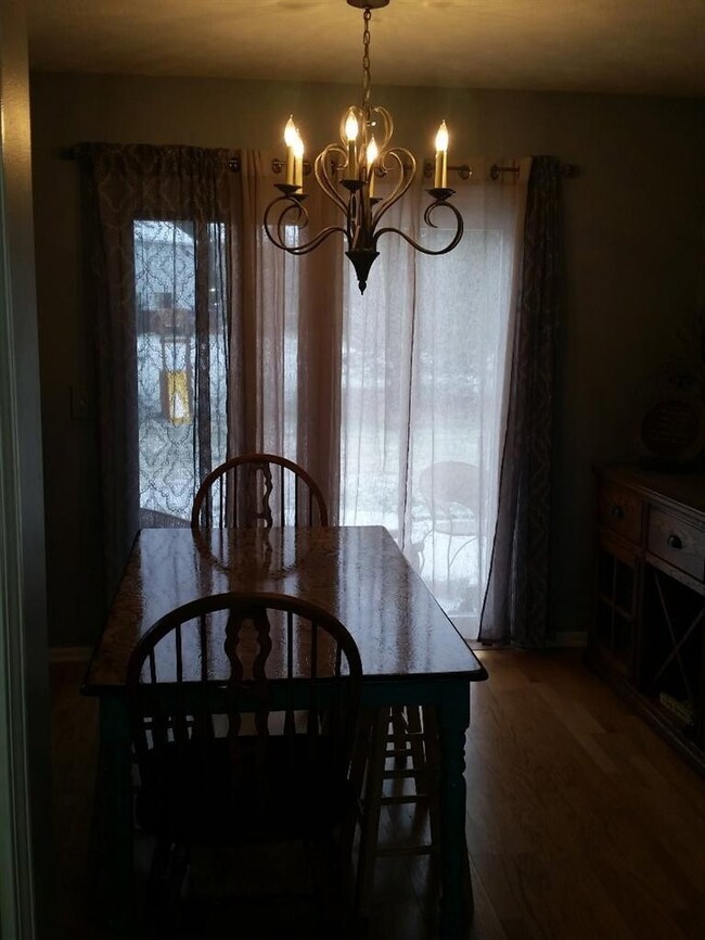 55356 County Line Rd, New Carlisle, IN 46552 - photo 3