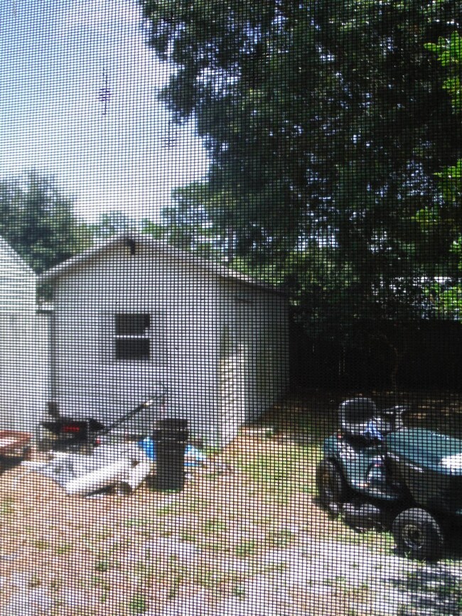DSCF5222