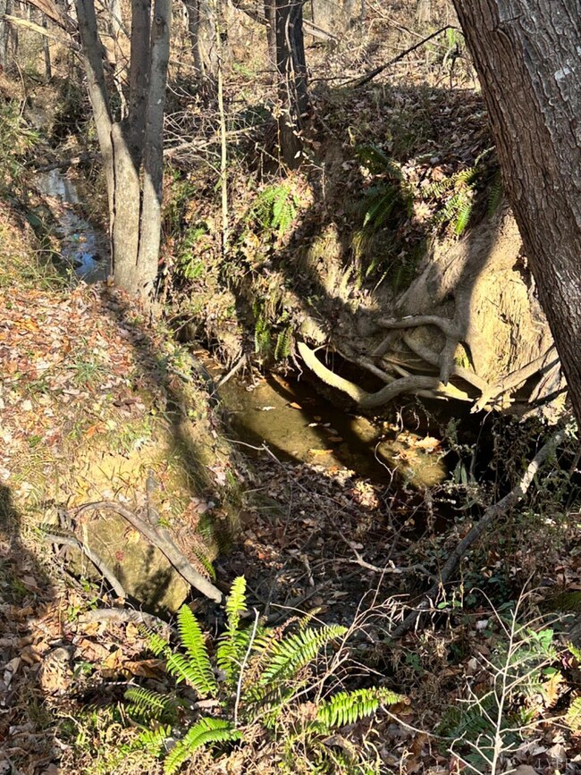 0 Lot 2b Police Tower Rd unit 363222, Appomattox, VA 24522 - photo 4