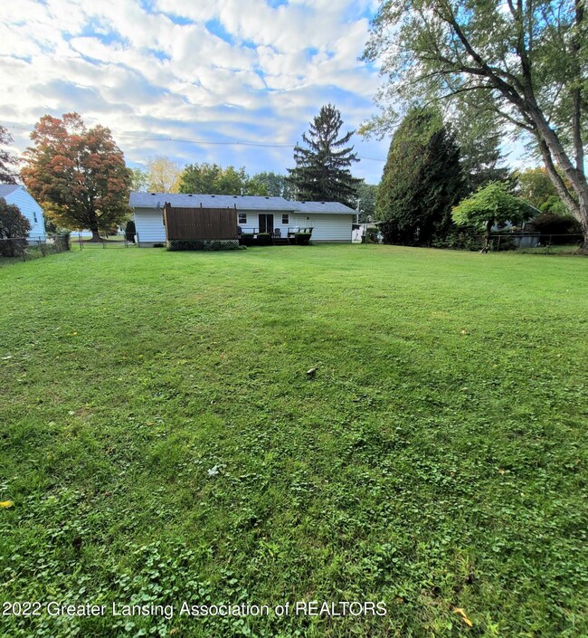 Back yard