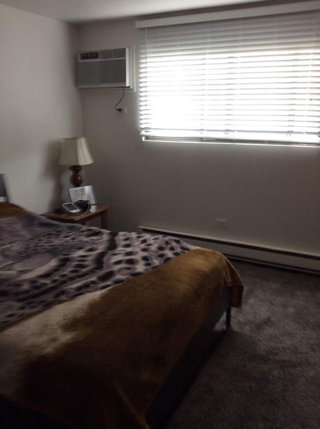 7328 W 86th St unit 1B, Bridgeview, IL 60455 - photo 6