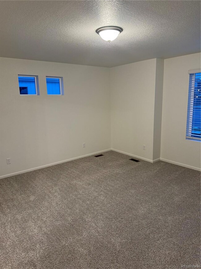 5796 Dakan Loop, Colorado Springs, CO 80938 - photo 5