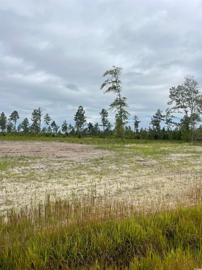 2832 Scarbrough Dr unit LOT 4, Loris, SC 29569 - photo 5