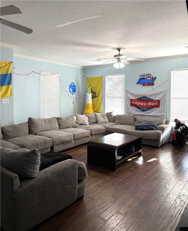 Living area with ceiling fan, crown molding, a textured ceiling, and hardwood / wood-style flooring