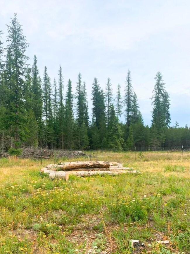 unlisted-address, Newport, WA 99156 - photo 6