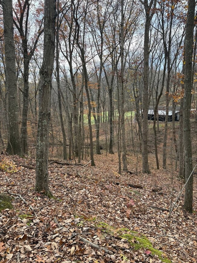 3110 Borland Rd, Jackson Township, OH 45672 - photo 5