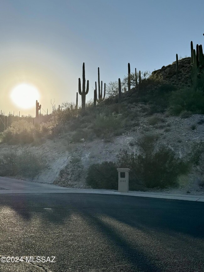 2096 S Twinkling Starr Dr unit 11, Tucson, AZ 85745 - photo 7