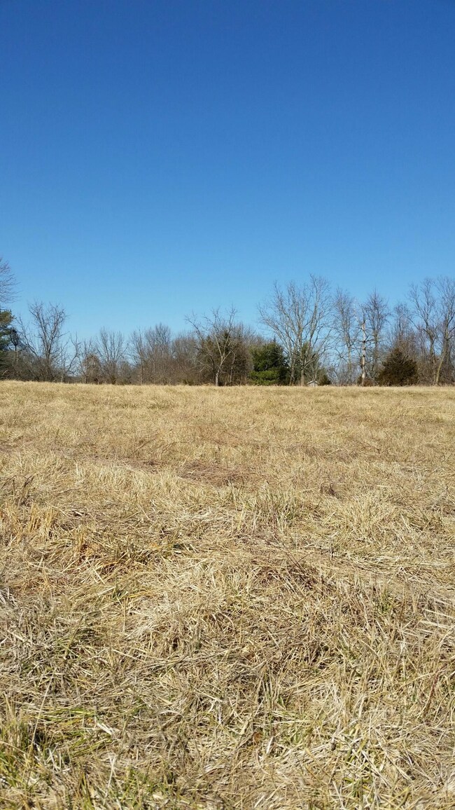 925 S Nicholas Rd, Nixa, MO 65714 - photo 5