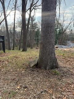 99999 Dalton St, Asheville, NC 28803 - photo 4