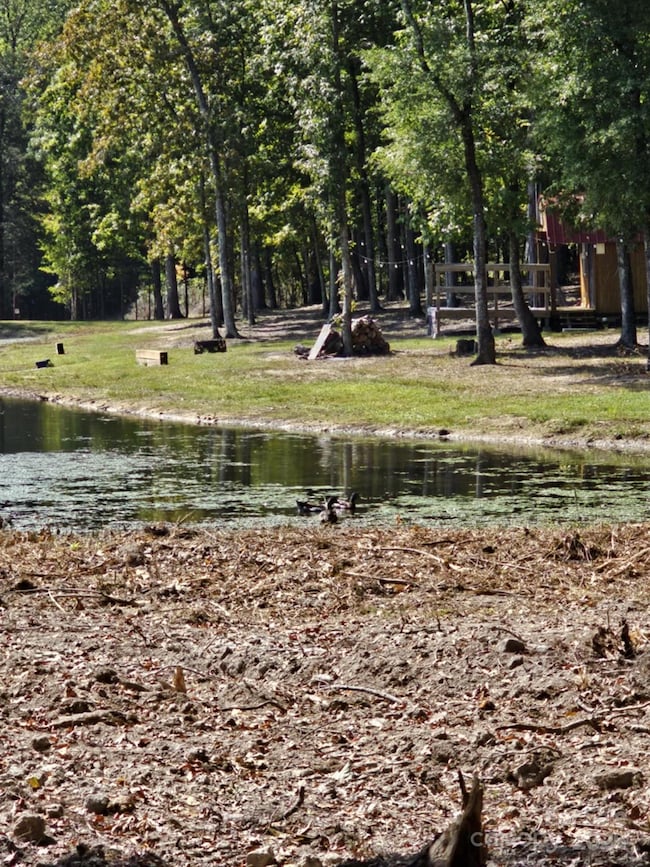 210 Fancy Lady Ct, York, SC 29745 - photo 7