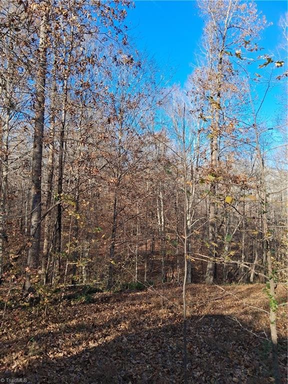 6819 Long Meadow Dr, Whitsett, NC 27377 - photo 3