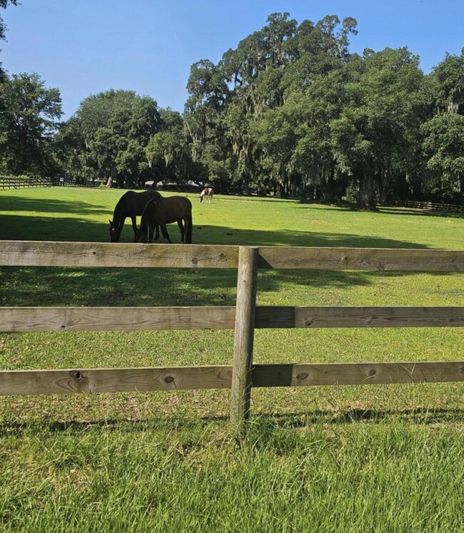 33 Middleton Oaks Rd, Charleston, SC 29414 - photo 6