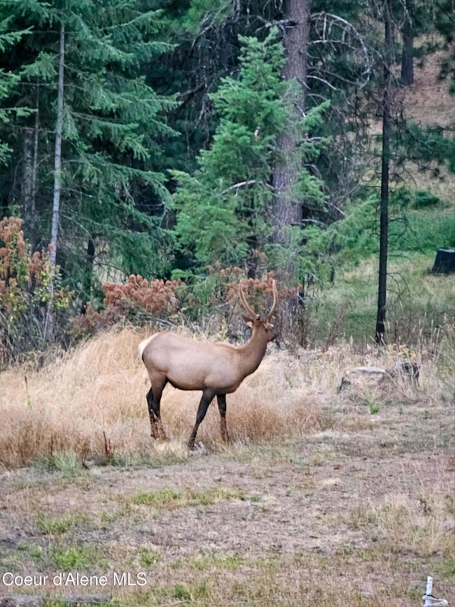 NKA E High Chaparral Rd, Coeur D'Alene, ID 83814 - photo 2