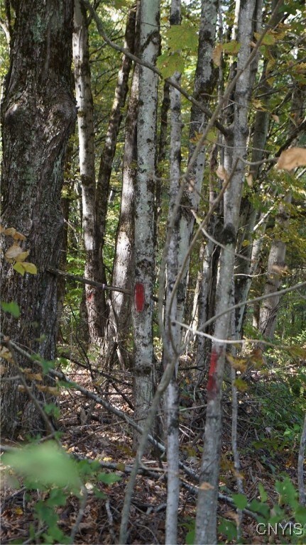 front right corner marked