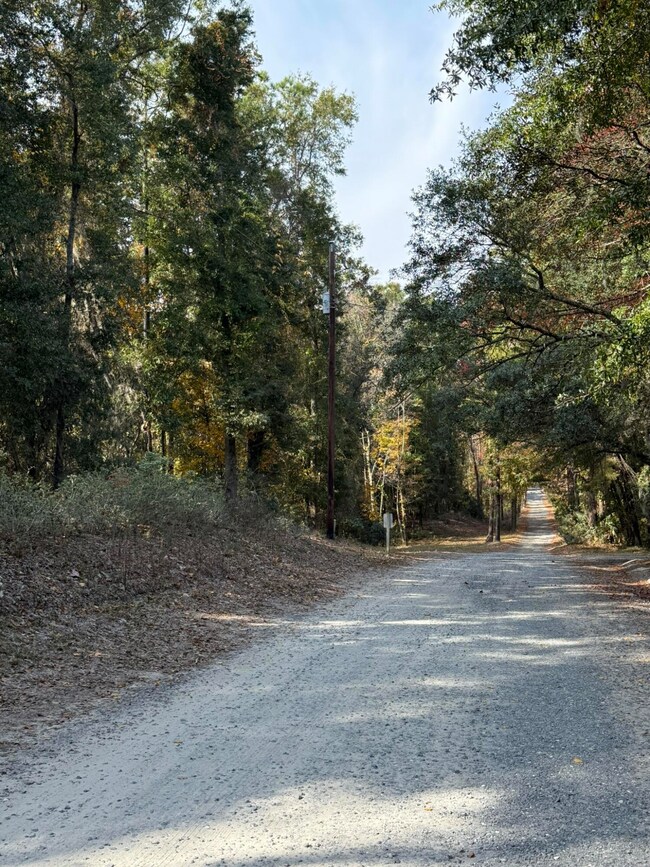 0 Yellow House Place unit 25031109, Cainhoy, SC 29492 - photo 7