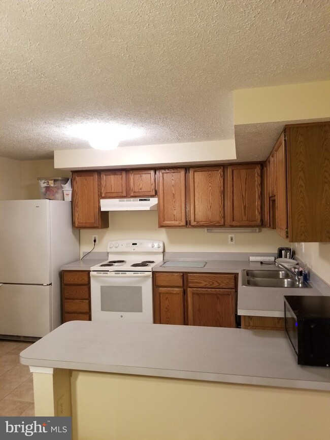 1539 Saint Lawrence Ct, Frederick, MD 21701 - photo 3