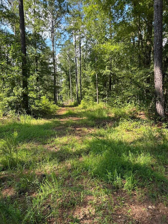 0 Fears Rd unit 69810, Madison, GA 30650 - photo 4