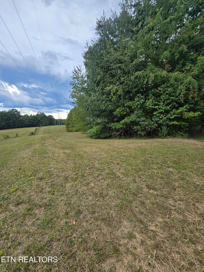 0 Eli Ln, Oneida, TN 37841 - photo 5