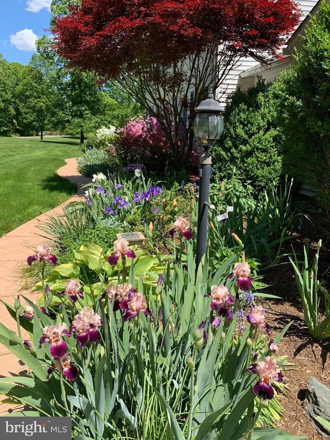 8231 Diamond Hill Rd, Warrenton, VA 20186 - photo 5