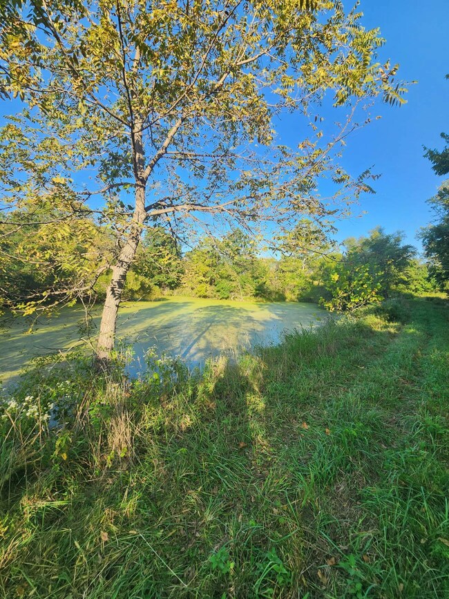 5700 SW Mirabile Dr, Polo, MO 64671 - photo 3