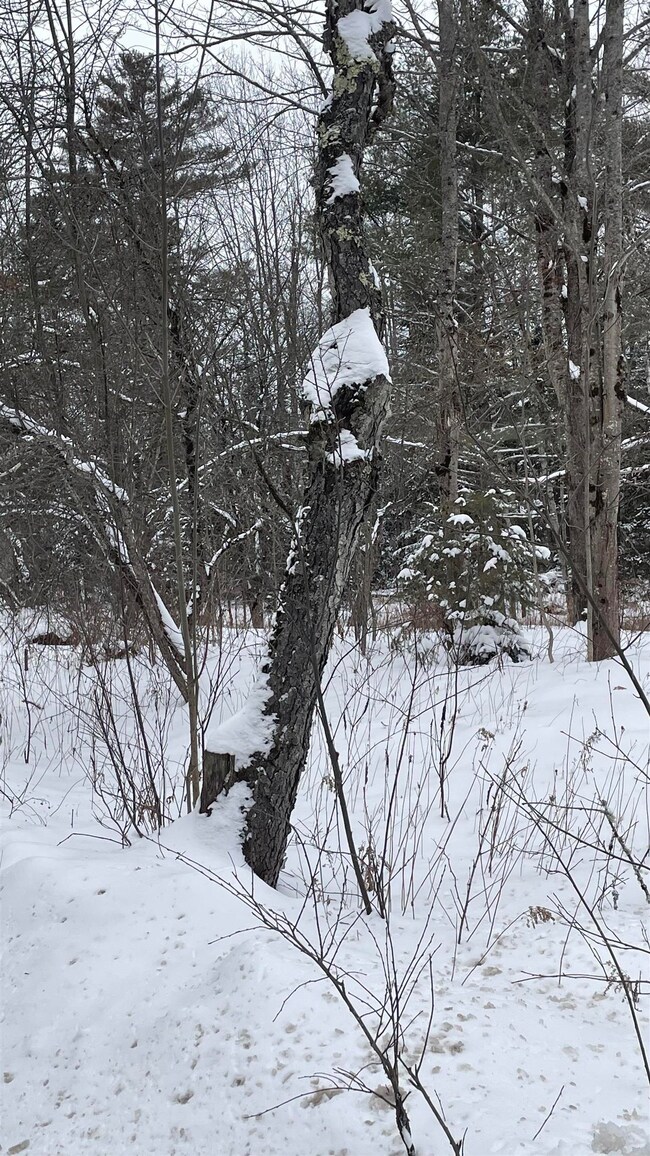 2137 N Littleton Rd, Littleton, NH 03561 - photo 6