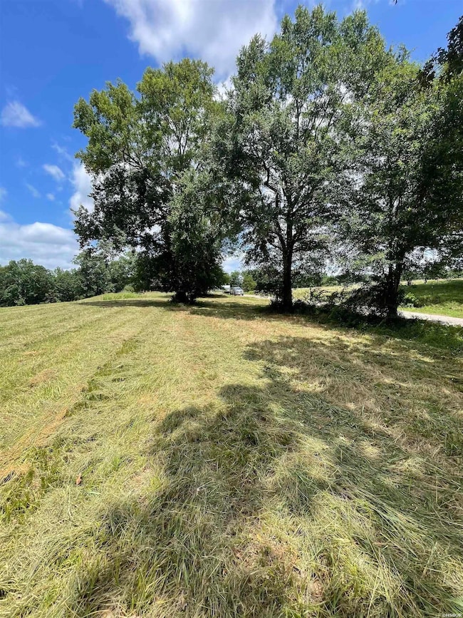 Lots 3 & 4 River View Dr, Glenwood, AR 71943 - photo 4